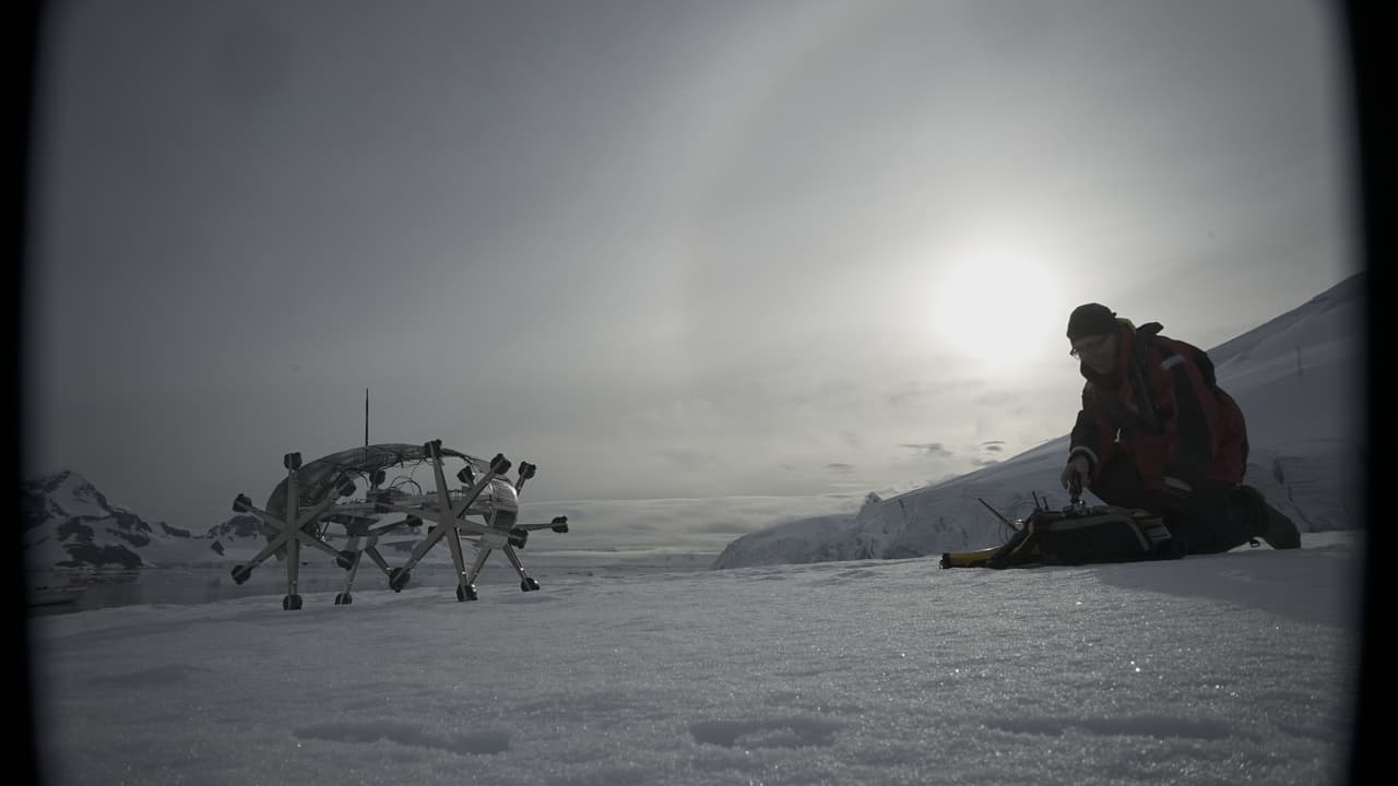 El artista viajó hasta la Antártida para ponerlo en práctica. Aunque el efecto es más simbólico que práctico su mensaje es contundente: “Debemos hacer algo, aunque no sepamos los resultados, porque si no hacemos nada, ya sabemos los resultados”.
<br>Estas fotografías fueron hechas por Nico Muñoz, cineasta de Omtv.media.