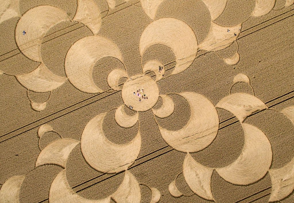 Pero, ¿cómo es posible que sean hechos por alienígenas? ¿Por qué salen usualmente "de la noche a la mañana" y por qué también suelen ocurrir en condados de Inglaterra? La ciencia, por supuesto, ha encontrado una rápida solución que no ha convencido a los escépticos.