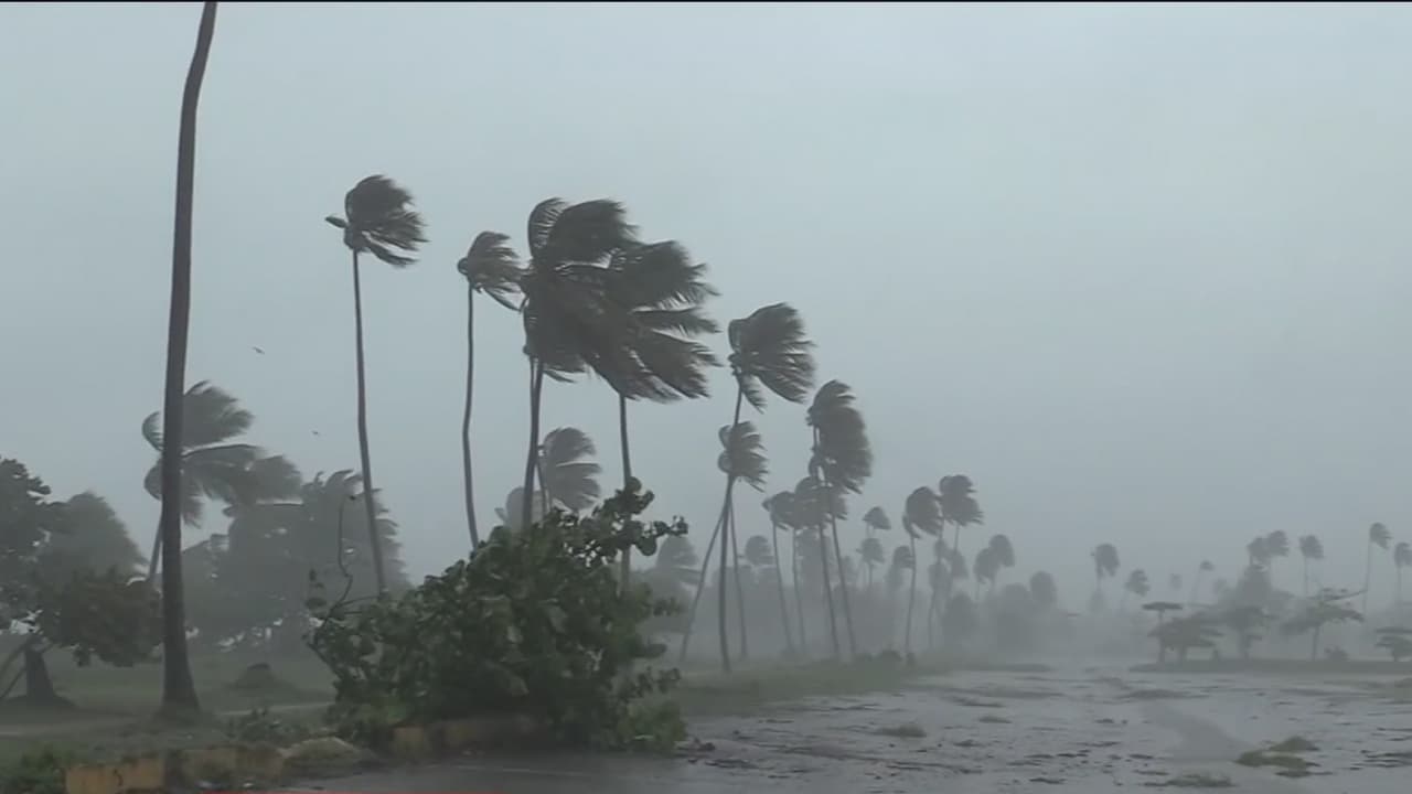Madre e hijo mueren en República Dominicana tras el paso de la tormenta tropical Laura 