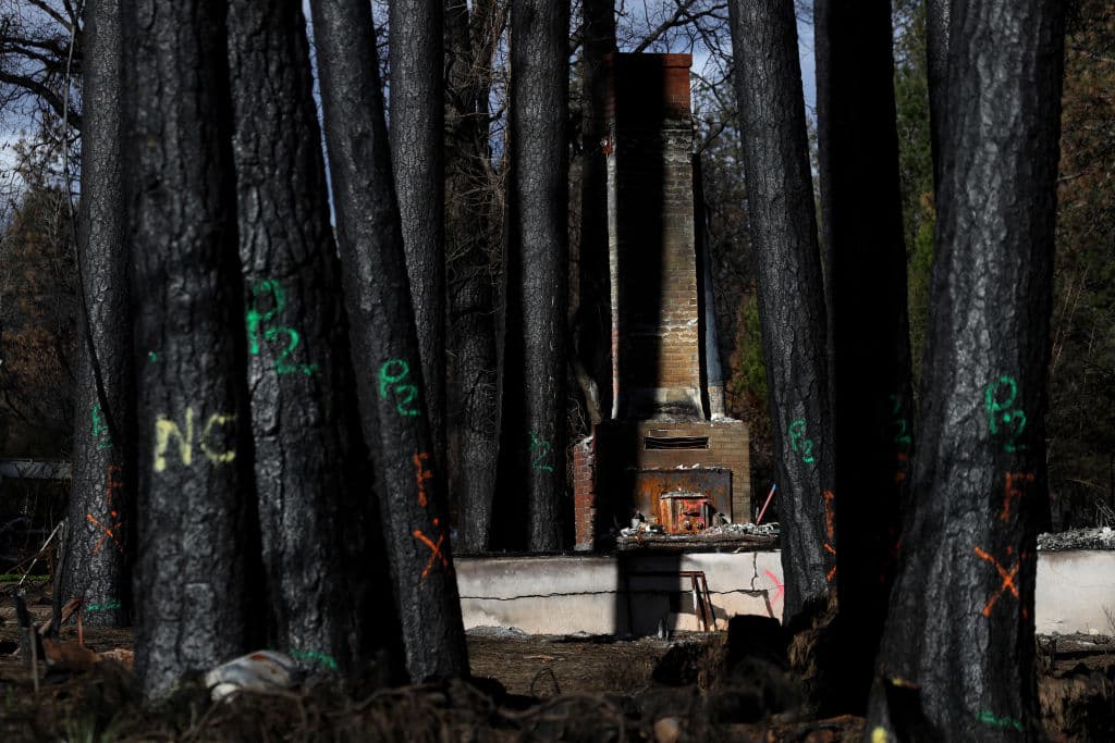 Esperamos que este tipo de iniciativas solo sea la primera de muchas de aporte apoyo y se haga eco de las situaciones que persisten en algunas áreas. 
<br>(Foto por: Justin Sullivan/Getty Images)