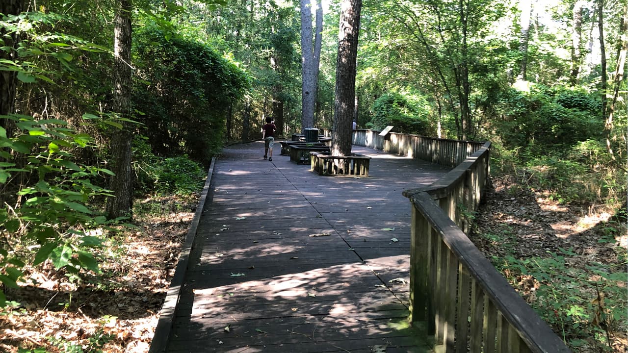 El parque estatal Lake Livingston es un espacio perfecto para que la familia disfrute de la naturaleza.