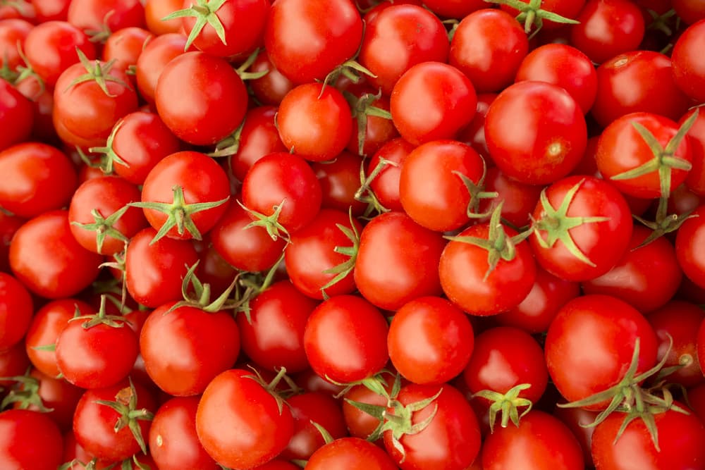 Uno de estos alcaloides, la alfa-tomatina, puede explicar en parte las propiedades anticancerígenas que se le atribuyen al consumo de tomate.