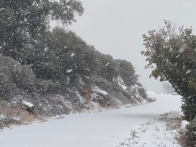 "Santa Barbara, California", escribió Rene Guzman.