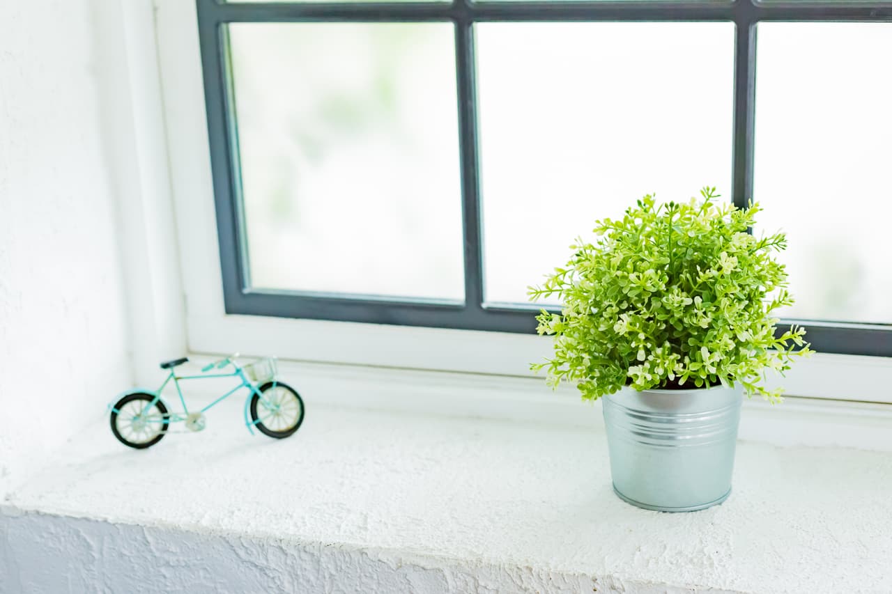 El color de este signo es el tono telúrico, tanto el verde como el marrón o café. No dejes ninguna esquina en tu casa “vacía” sino más bien compénsala con una planta que armonice ese espacio y esté en correspondencia con tu signo.