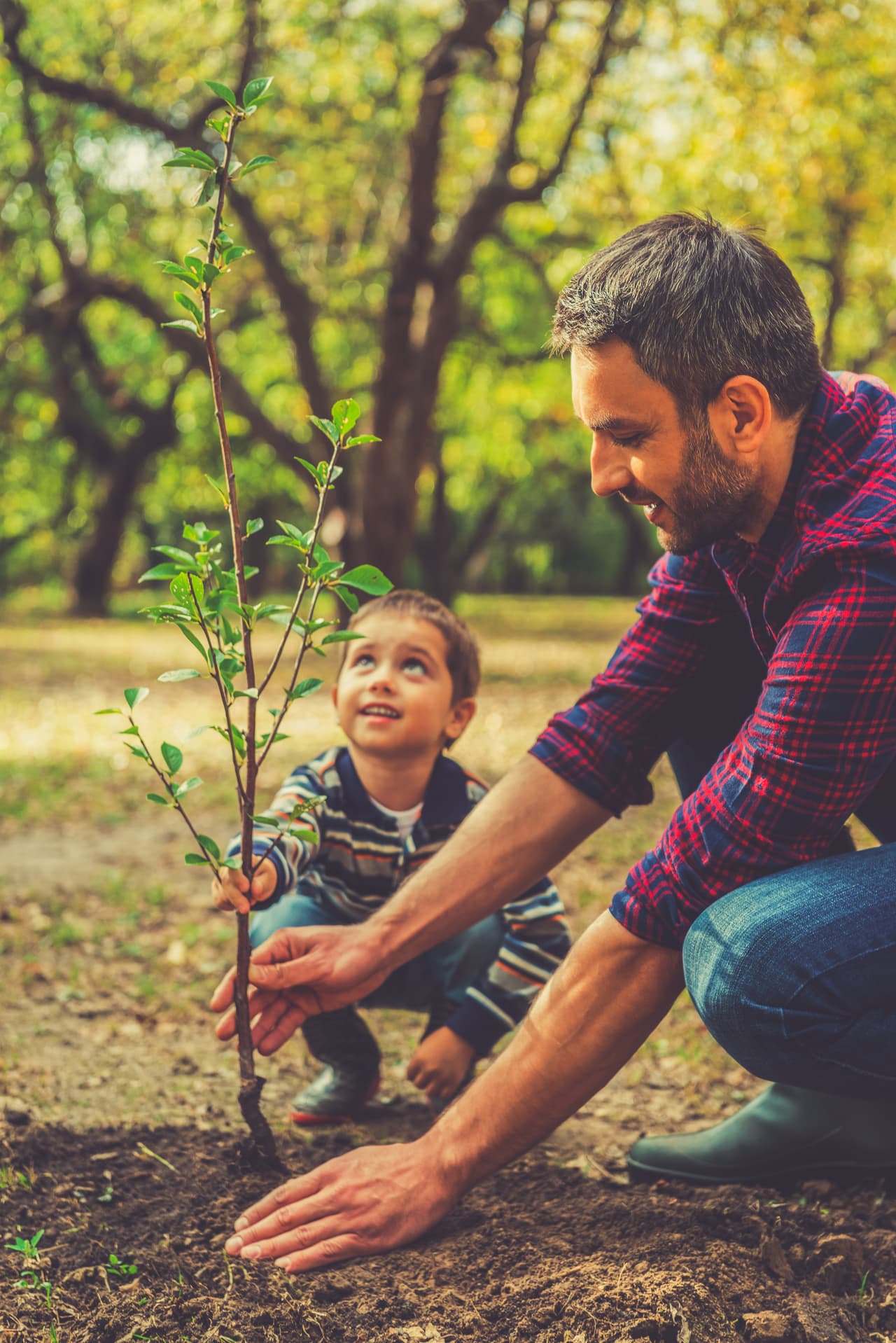 Independientemente de cuál sea tu elemento, celebra este día incorporándote a alguna de las múltiples actividades que posiblemente se estén organizando en tu comunidad: puedes ir con tus amigos, hijos, compañeros, a un parque a ayudar a recoger basuras que las personas indolentes hayan dejado tiradas, o limpiar la costa, recolectar envases que puedas reciclar y en general compartir el conocimiento del planeta con todos a tu alrededor.