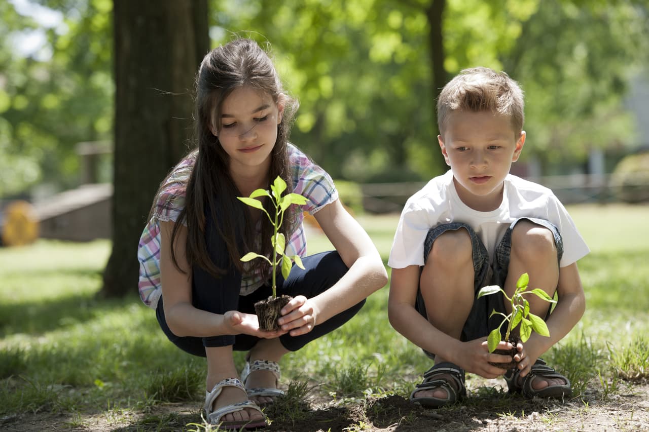 Durante esta fiesta se plantan árboles para combatir la contaminación urbana, otros viajan en bicicletas para demostrar que existen medios de transporte que no contaminan, se realizan muchas actividades al aire libre y es un buen día para poner a funcionar las mejores cualidades de nuestro signo zodiacal en armonía con el Universo.