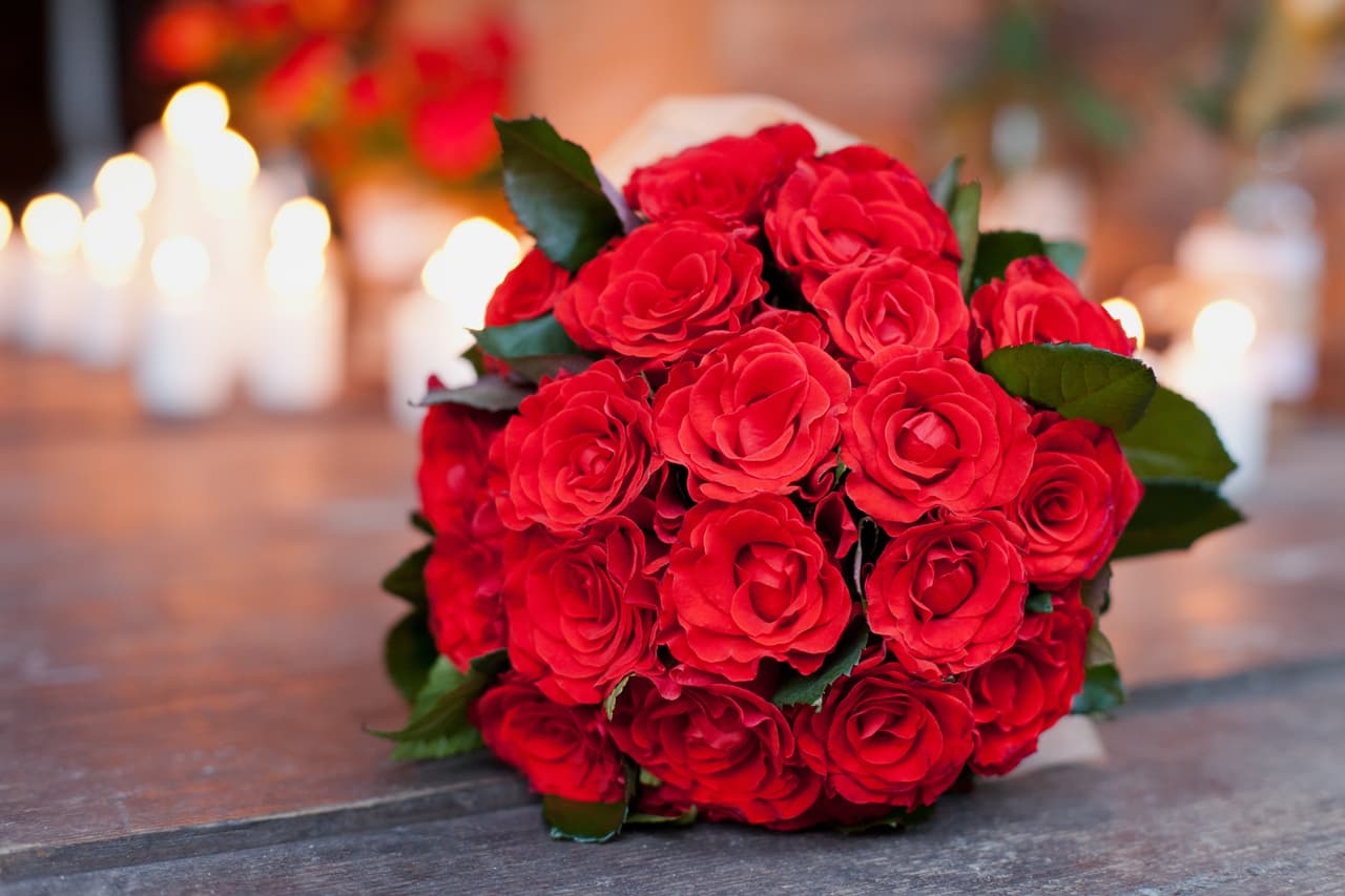 En este Día de la Tierra refuerza las vibraciones positivas de tu elemento colocando ramos de flores rojas en el hogar –el color de tu elemento- preferentemente rosas o claveles.