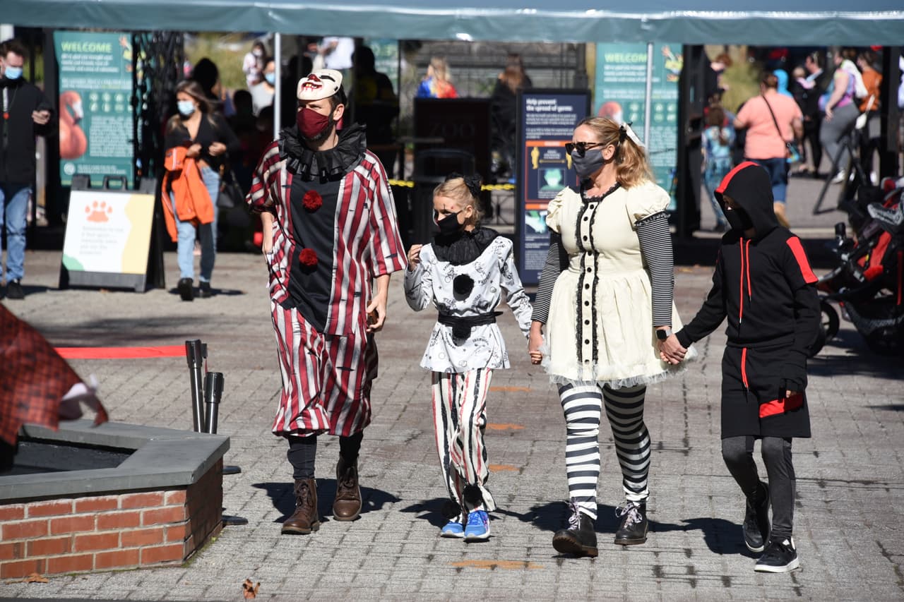 "Boo at the Zoo es uno de los eventos favoritos del año en el zoológico y poder ofrecer calabazas a nuestros animales, ya sea como refrigerio o como un artículo para investigar y jugar, hace que esos tres fines de semana de octubre sean aún más especiales", dijo el zoológico en un comunicado.