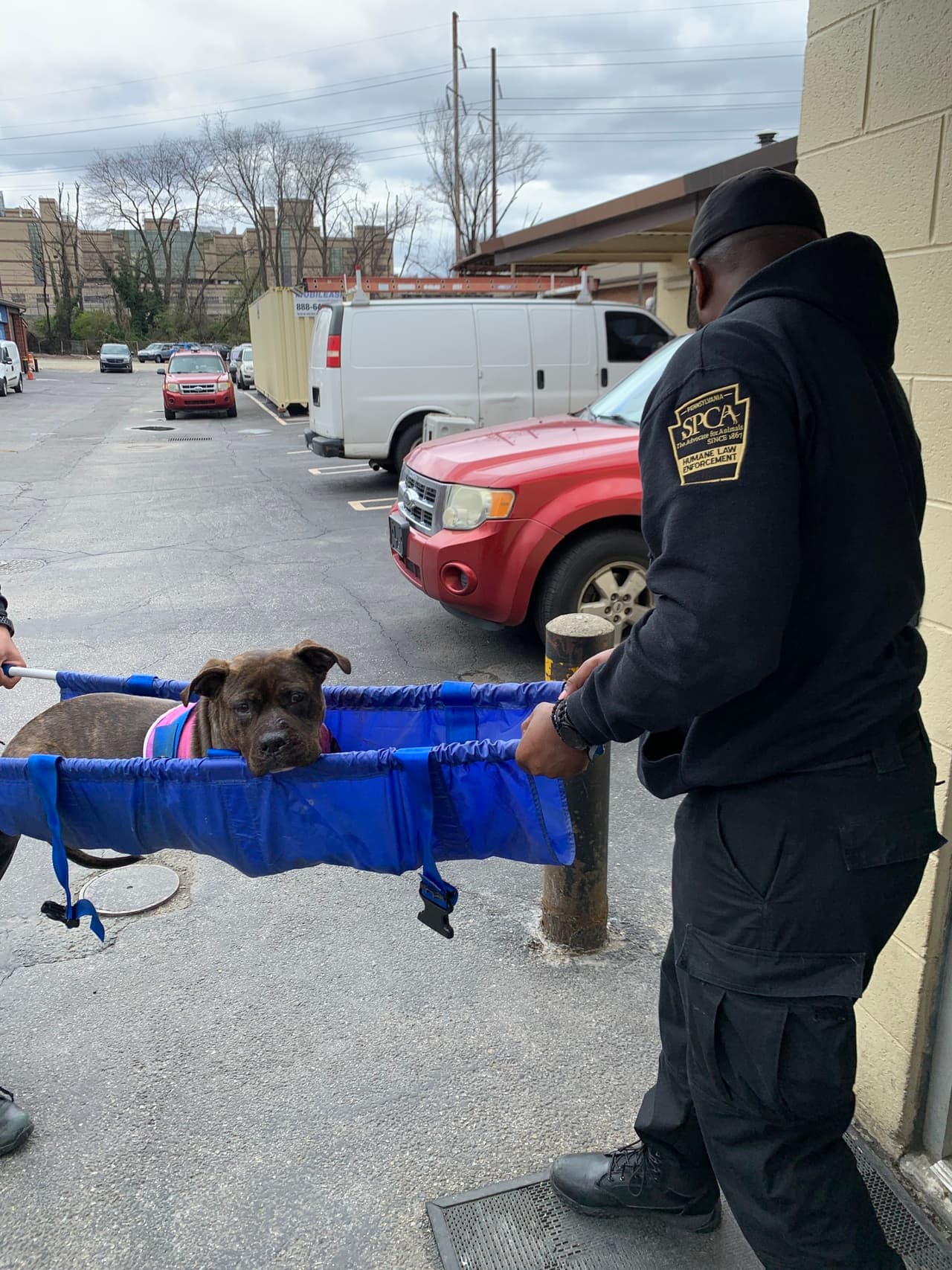 Los investigadores del
<b>Equipo de Cumplimiento de la Ley Animal de la Sociedad Protectora de Animales de Pensilvania </b>creen que al perro le dispararon inicialmente en la calle y se arrastró hasta el pórtico de una casa cercana. Luego, un buen samaritano encontró al perro en los escalones de la entrada de la casa.