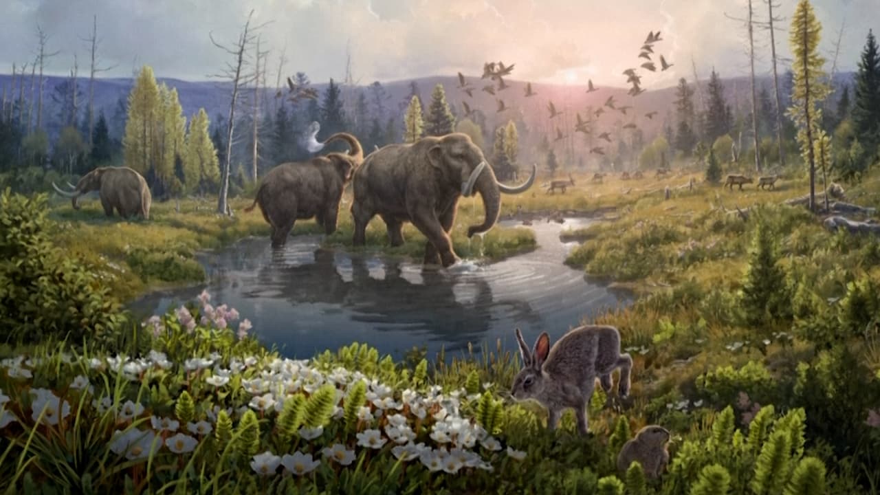 El hallazgo de una “máquina del tiempo” que revela cómo era el mundo hace 2 millones de años