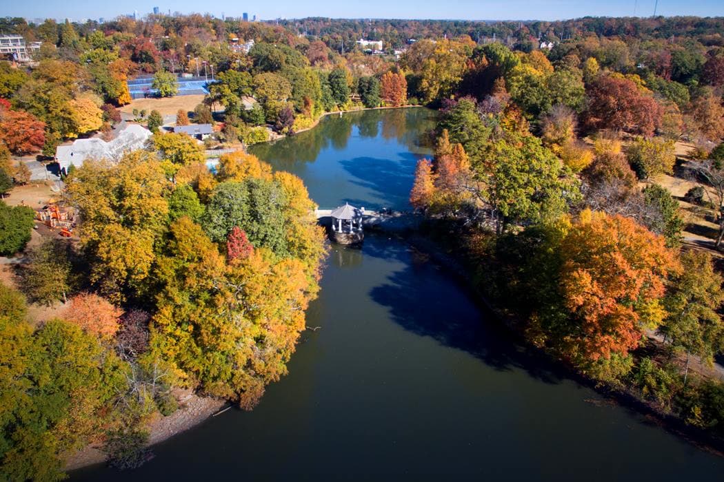<b>Piedmont Park</b>: ¿Quién dice que debes conducir por horas para disfrutar de los colores del otoño en Georgia? Si vives en el área de Atlanta y quieres captar la belleza de la temporada en imágenes, el icónico parque de la ciudad es una buena opción para empezar.