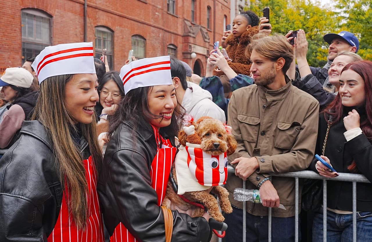 Los perros y gatos mostraron sus mejores atuendos para tratar de ganar el concurso que se realiza cada octubre en vísperas de Halloween.