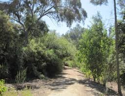 Si te gusta hacer ejercicio alrededor de la naturaleza, este parque ofrece tres senderos. Uno fácil y dos con rutas de moderadas a retadoras.