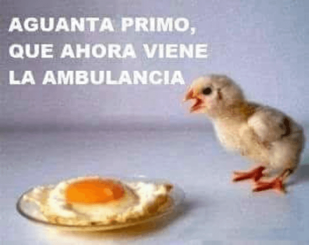 Con estas temperaturas lo mejor es quedarse en casa. Y entonces, ya se sabe, la gente se aburre y empieza a crear memes como este.