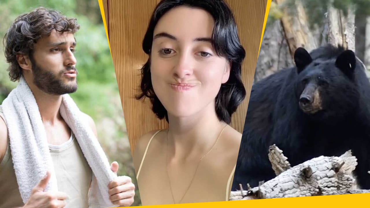 ¿Mujeres prefieren a osos en vez de a los hombres? La polémica pregunta que desató debate en TikTok