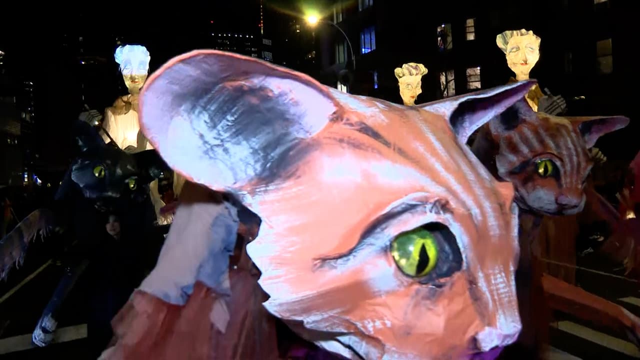 <b>El desfile tomó la Sexta Avenida </b>desde Canal Street hasta la calle 15 Oeste.
<br>