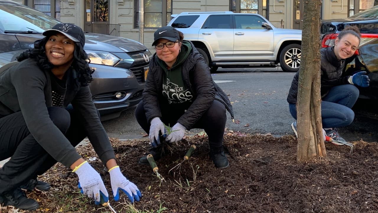 ¿Preocupado por el planeta? Conviértase en un Súper Mayordomo de la naturaleza en Nueva York