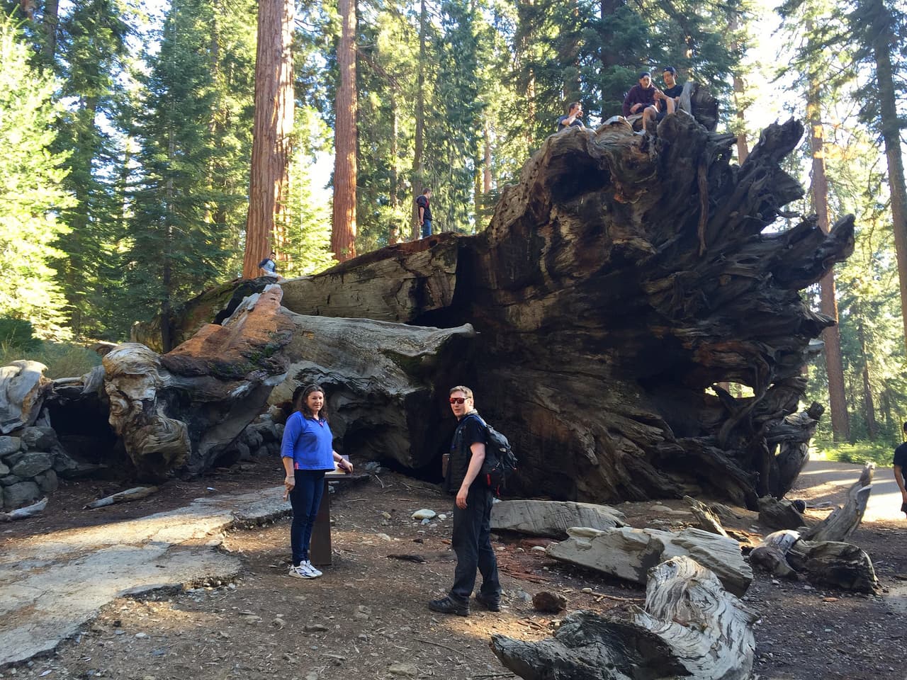 Esta imagen de 2015 muestra lo quedó del ‘Wawona Tree’.