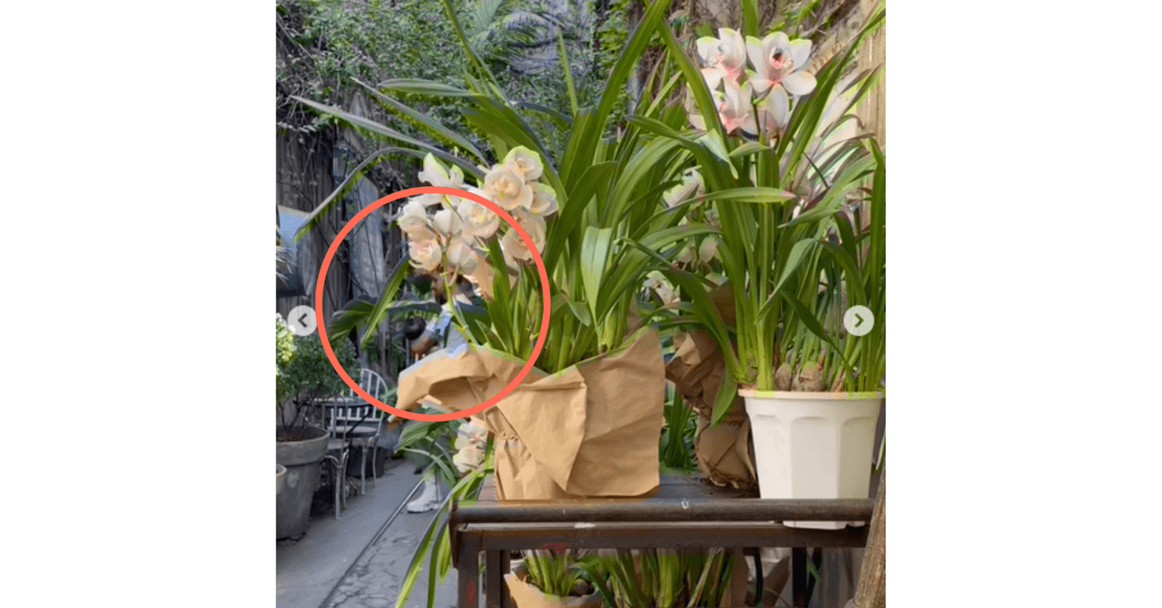 Camilo con su hija Índigo