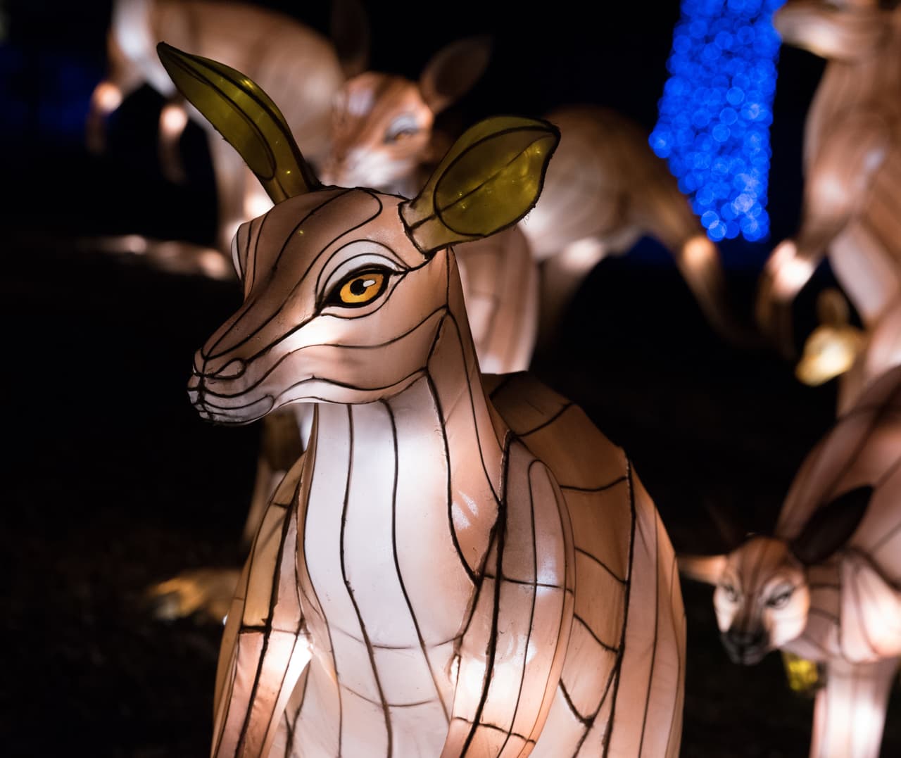 Sin duda es una experiencia para todas la familia. Además de la iluminada exposición el festival ofrece otras representaciones del la cultura occidental que no puedes perderte.