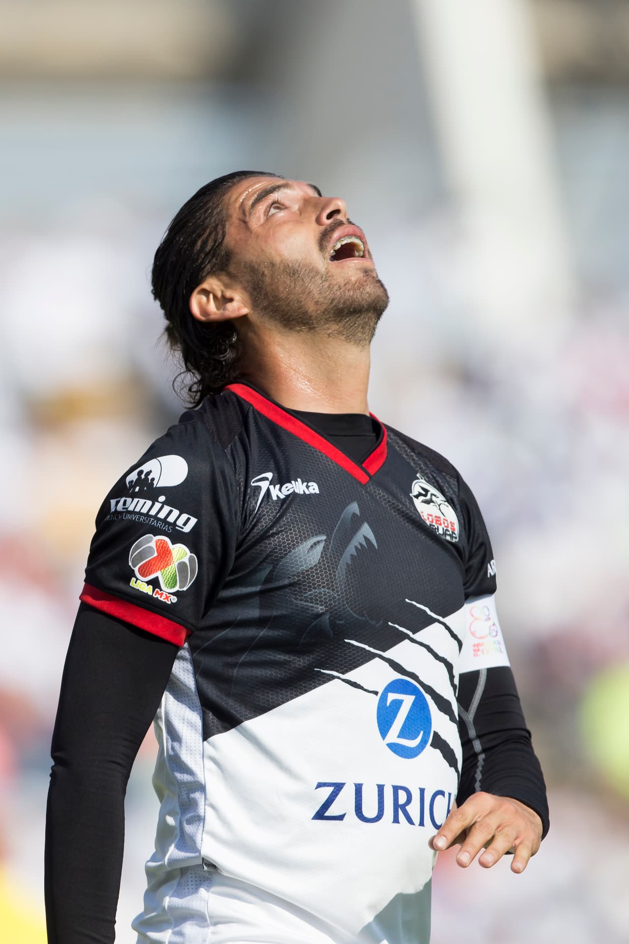 El derrumbe de los universitarios ha sido total y ahora son los más firmes candidatos a dejar la Máxima Categoría del fútbol mexicano.