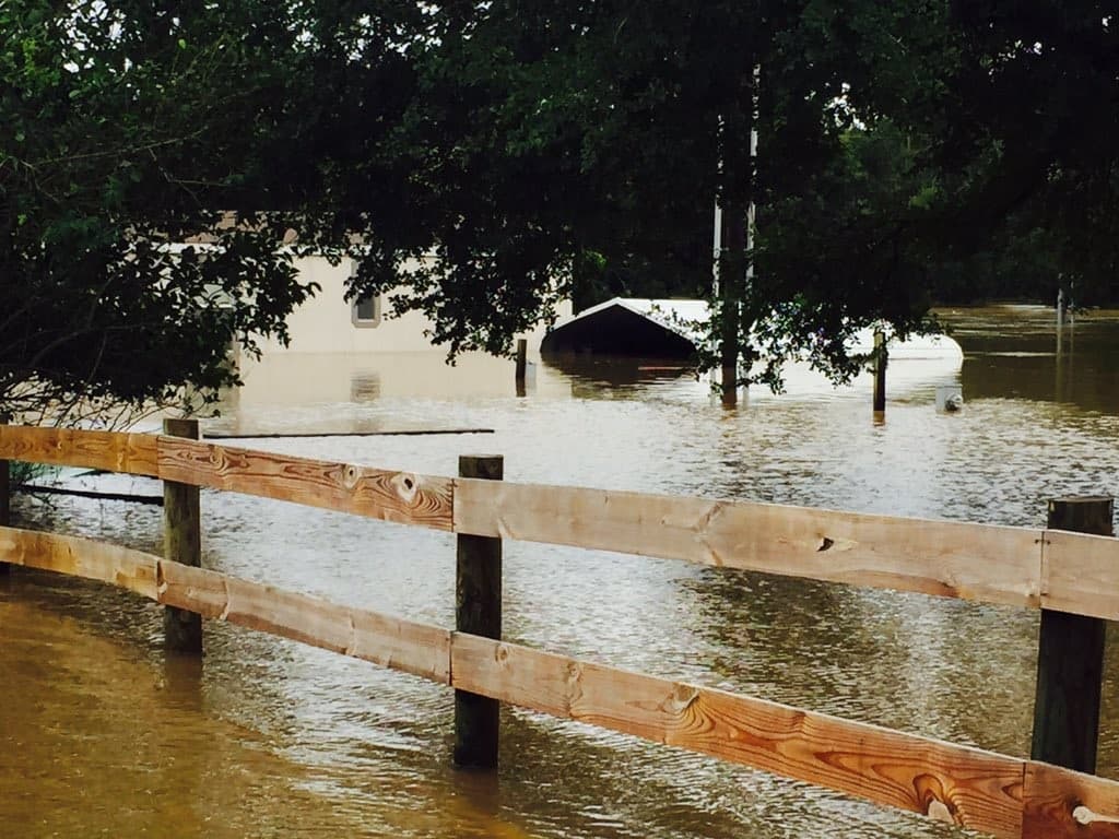 Las fuertes lluvias e inundaciones también provocaron que más de 50,000 personas se quedaran sin electricidad en Austin.