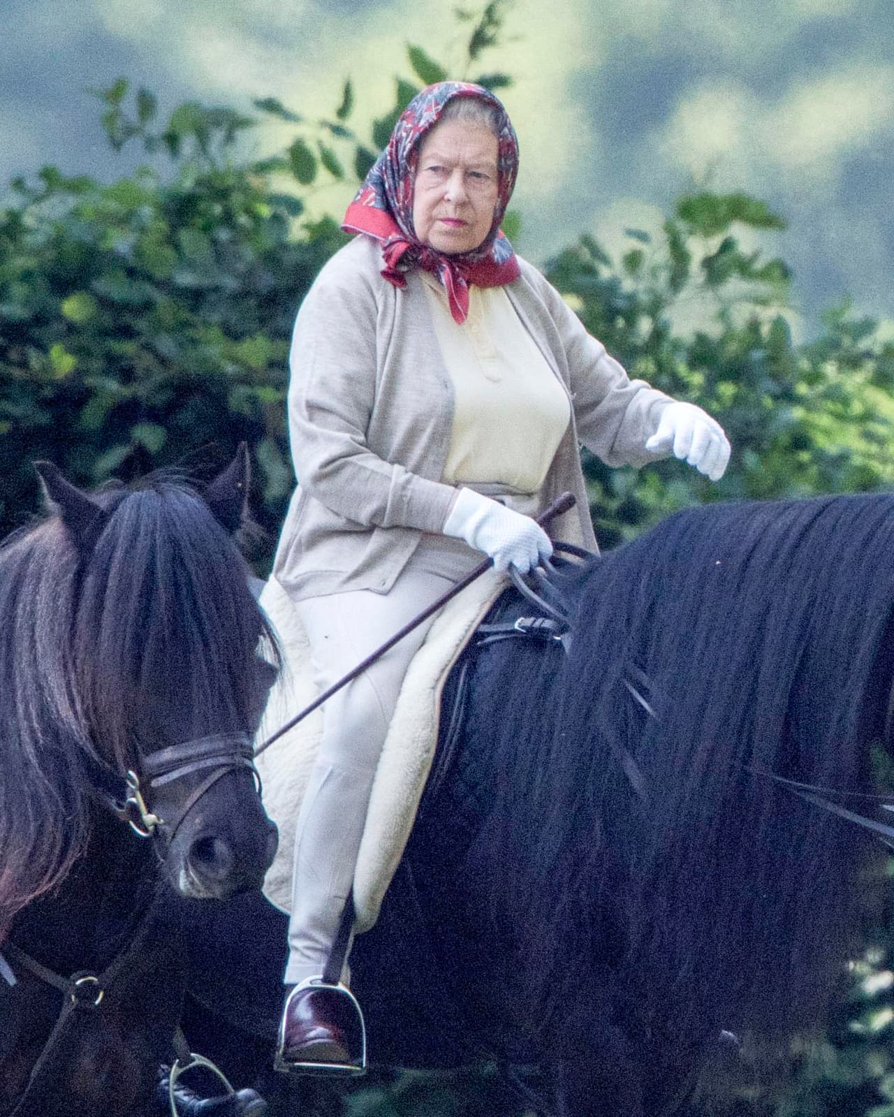 La reina Isabel recibió un poni llamado Peggy a la edad de 4 años y comenzó a montar a los 6, explicó Daily Mail.