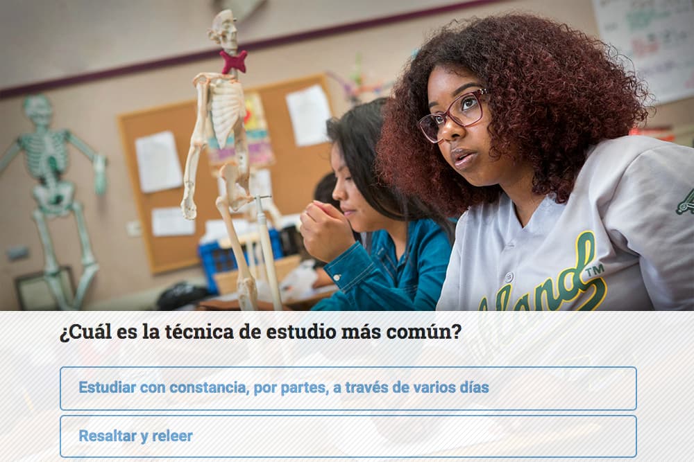 ¿Conoces las mejores maneras de aprender? Pon tu conocimiento a prueba con este quiz