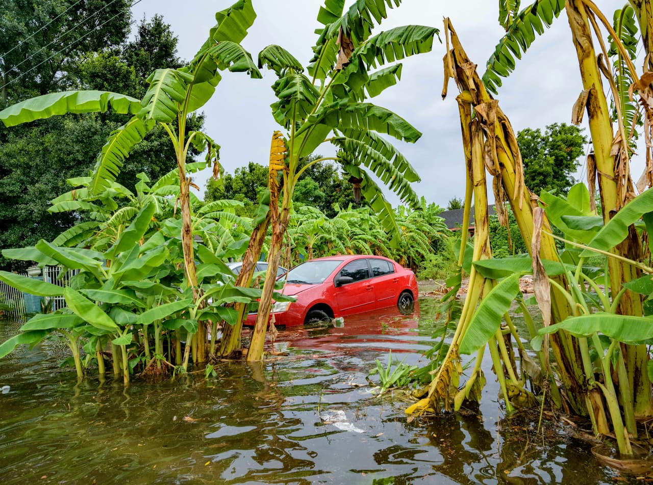 “Toda la costa de Louisiana está en riesgo por esta tormenta y hablamos de hasta 10 a 15 pulgadas (25 a 38 centímetros) de lluvia en un periodo de 24 horas que comenzará el viernes, así que es un corto periodo de tiempo para lluvia tan intensa”, alertó el gobernador Edwards.
<br>