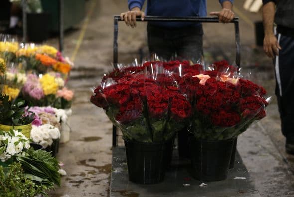 #10 ¿Quieres hacerla sonreír al instante? Regálale una docena de rosas.