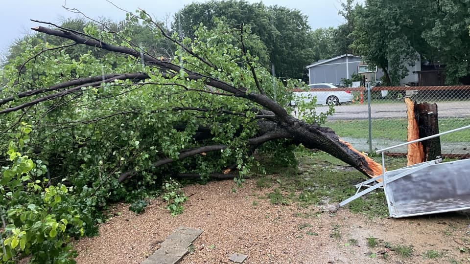 El 
<b>fin de semana largo por Memorial Day, <a href="https://www.univision.com/local/dallas-kuvn/cinco-muertos-heridas-texas-tormentas-severas" target="_blank">al menos siete personas murieron en Texas</a></b>; más de 20 víctimas por el mal tiempo en cinco estados del país.
<br>