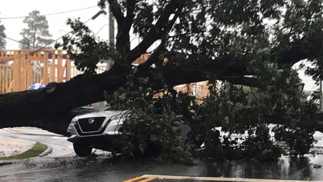Un enorme árbol cayó sobre dos vehículos en la intersección de Mt Vernon Rd y Chamblee Dunwoody Rd. Hay cables caídos, no hubo heridos.