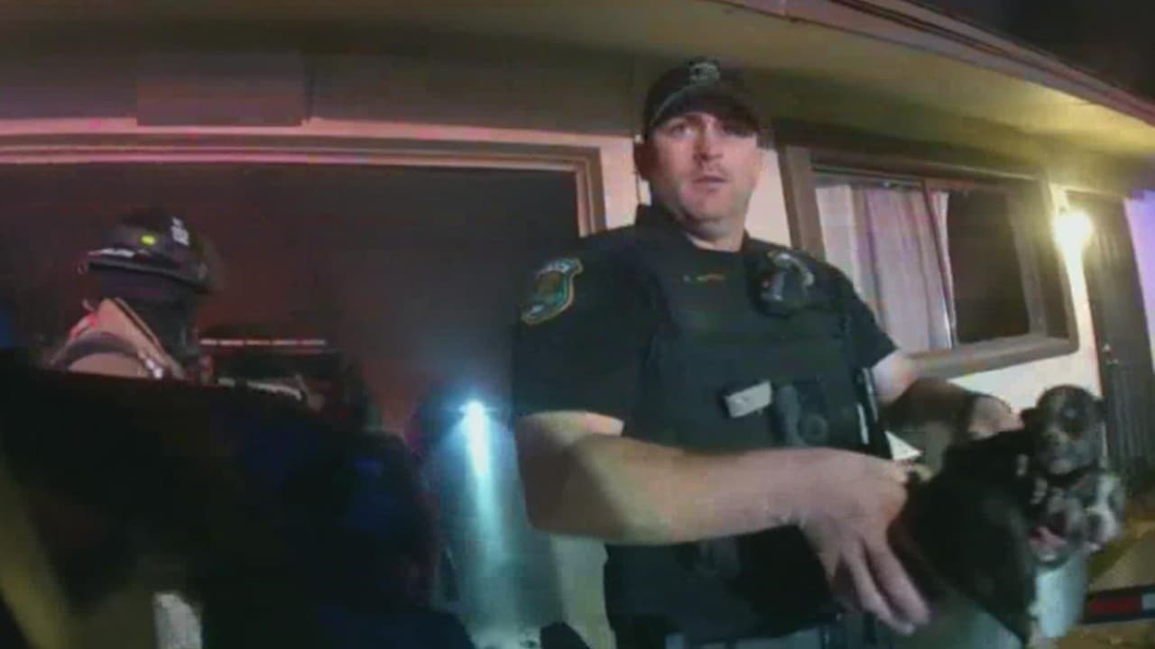  Video muestra el rescate de varios perritos en medio del infierno desatado por un incendio en Glendale