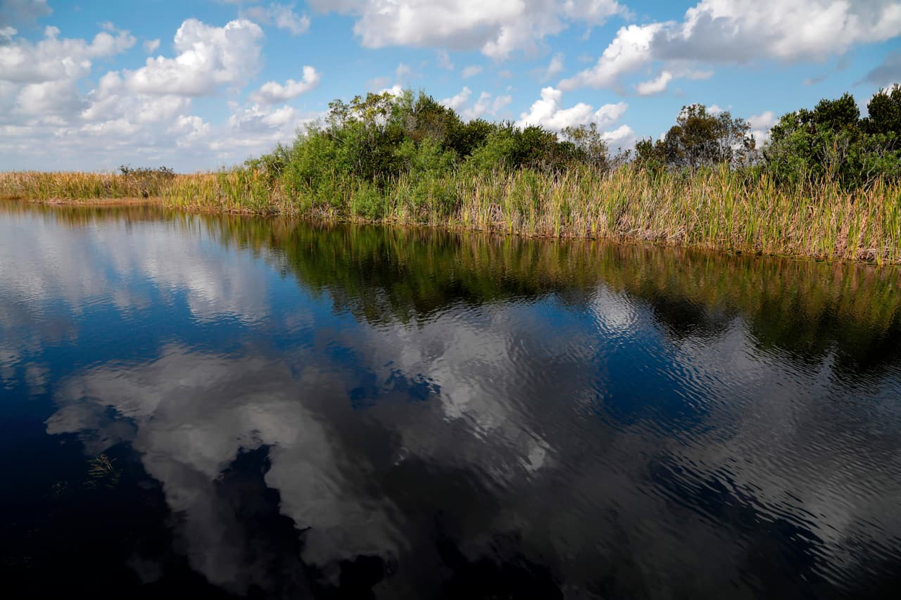 Everglades, Florida, EEUU.
