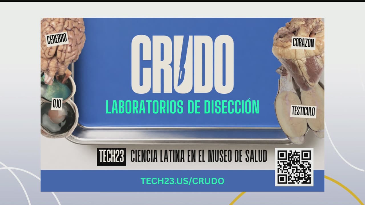 CRUDO y otras actividades de verano en el Museo de la Salud de Houston