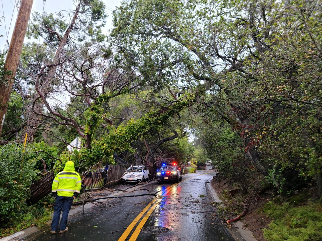 En Belmont la Policía advirtió que la caída de un árbol provocó por varias horas el cierre de Folger Drive.