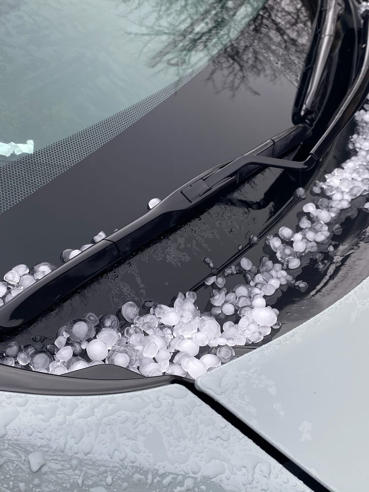 Fuertes vientos acompañados de granizo se reportaron este lunes por la madrugada en varios condados del Metroplex.
<br>