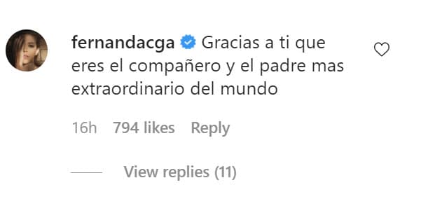 Fernanda Castillo le dejó un mensaje en la sección de comentarios en el que le dejó saber que es "el compañero y el padre más extraordinario del mundo". 
<br>