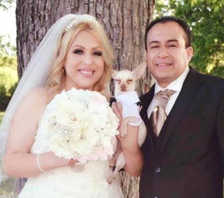 "El es mi hijo perruno se llama Bolillo 🐶 💕" . Joys Poinsweet Soto