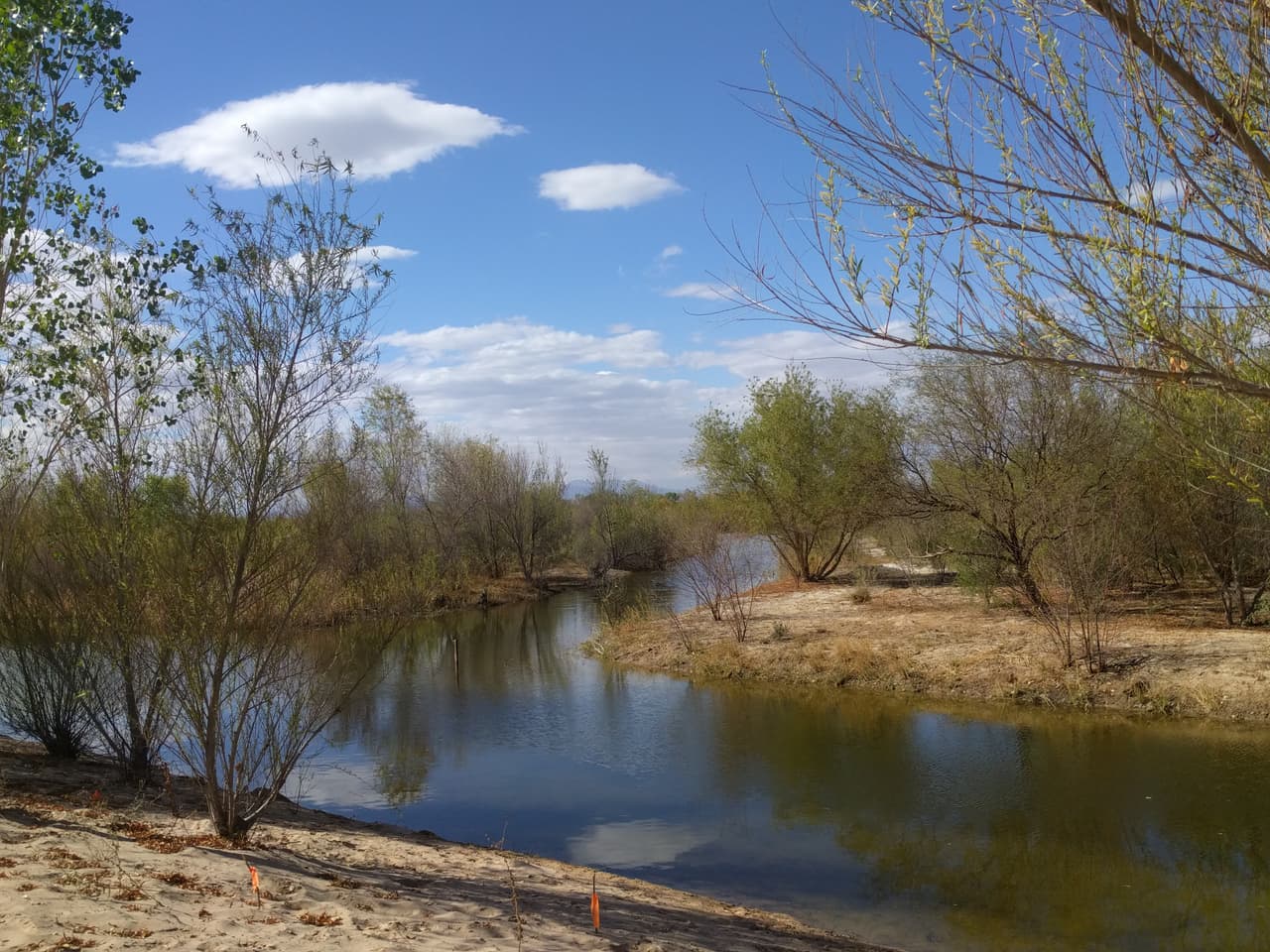 Aproximadamente a 40 millas del océano, Laguna Grande es el sitio de restauración más grande en el delta del Colorado. El Instituto Sonorense binacional comenzó a trabajar aquí en parches de hábitat existentes establecidos cuando el río fluyó a través de su canal a fines de la década de 1990 o principios de la década de 2000.
