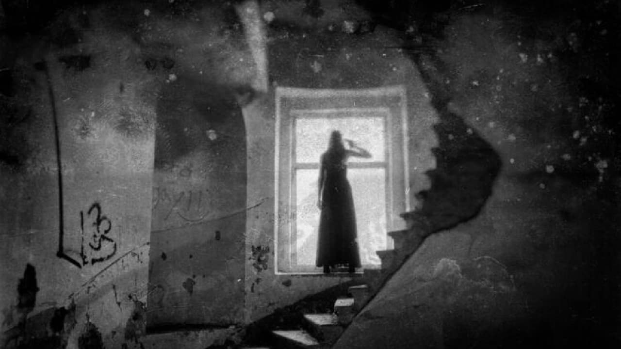 <b>Mujeres de la noche</b>
<br>Hace años, el Barrio Rojo de Flagstaff se encontraba a solo dos cuadras del hotel Monte Vista. A principios de la década de 1940, dos prostitutas fueron llevadas a la
<b>habitación 306</b>, donde fueron asesinadas. Desde entonces numerosos huéspedes han informado que se han despertado en mitad de la noche debido a la sensación de que los están observando. Otros reportan la sensación de que les tapan la boca y la garganta con las manos y se despiertan sin poder respirar.