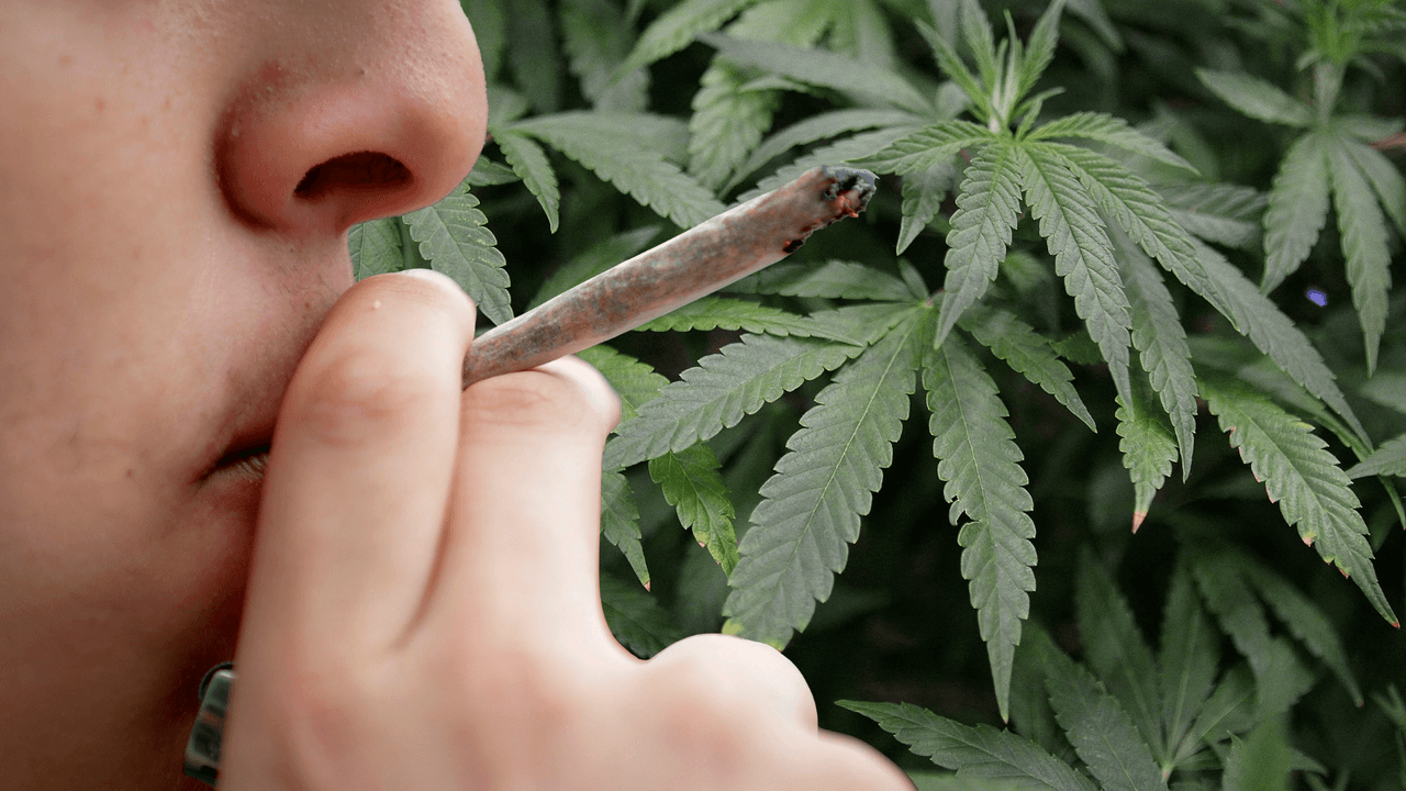 Así están acordando la legalización de la marihuana recreativa para mayores de 21 años en Nueva York