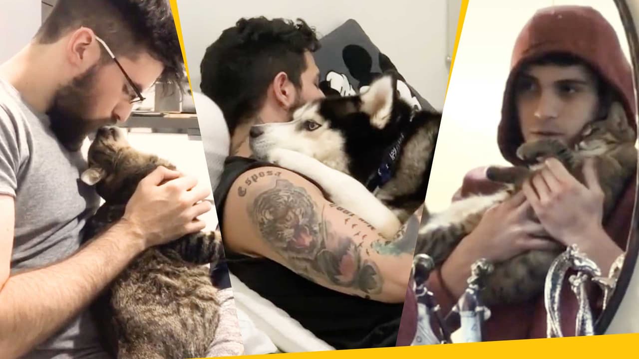 ¡Les robaron el novio! Mascotas se enamoran de las parejas de sus dueñas