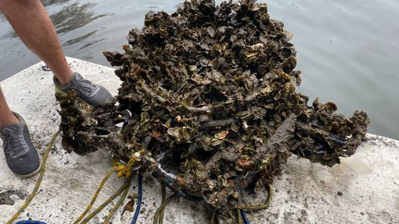 Retiran decenas de scooters eléctricos abandonados en río de Hillsborough