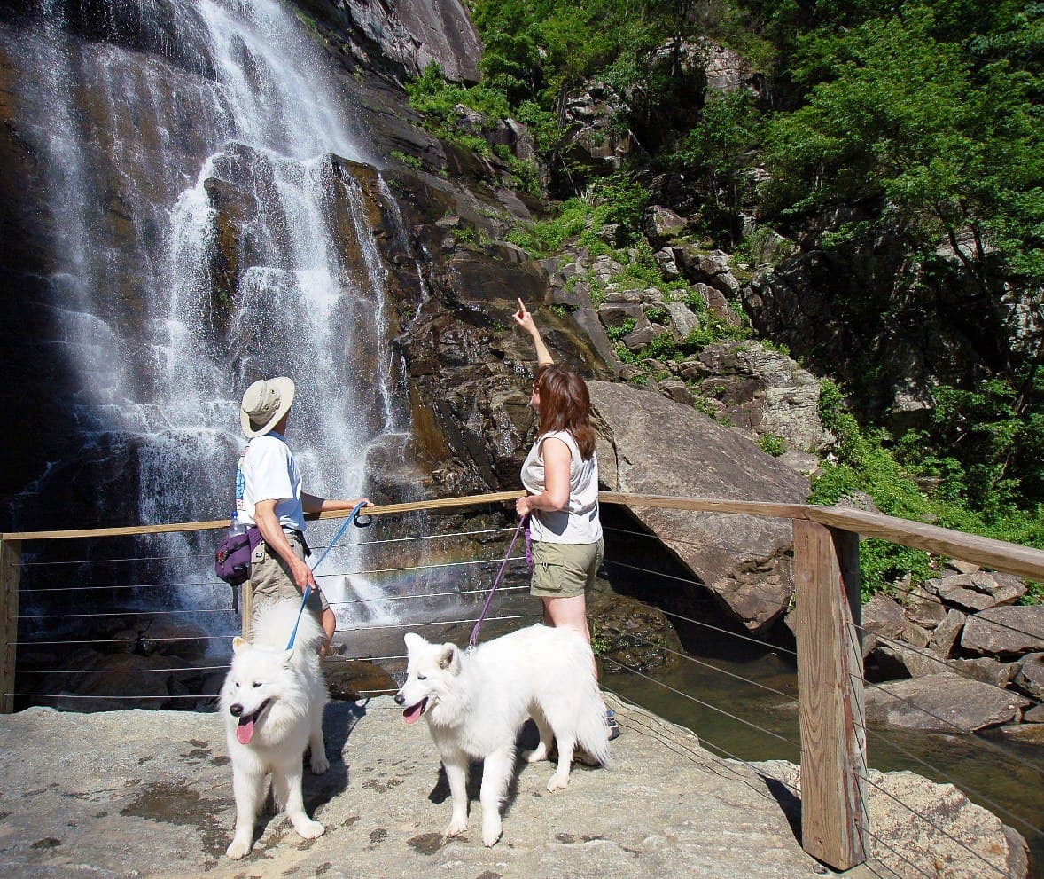En Chimney Rock, podrás caminar camine hasta Hickory Nut Falls y tomar un ascensor o subir a la cima del parque homónimo, una aguja de roca independiente de 315 pies. También cuenta con la mayor cantidad de instalaciones, incluidas áreas ribereñas, exhibiciones interpretativas y tiendas de regalos.