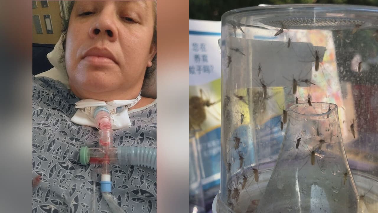 Sobrevivió al virus del Nilo Occidental y ahora alerta a Los Ángeles: “Una picadura te puede cambiar la vida”
