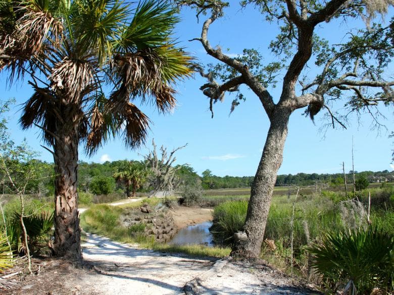 <b>Skidaway island state park</b>
<br>52 Diamond Causeway, Savannah, GA. 31411
<br>Ubicado cerca de la histórica Savannah, este parque limita con los estrechos de Skidaway, una parte del canal intracostero de Georgia. Los senderos serpentean a través del bosque marítimo y pasan por las marismas, que conducen a un paseo marítimo y una torre de observación. Los visitantes pueden observar ciervos, cangrejos violinistas, mapaches, garcetas y otros animales salvajes.