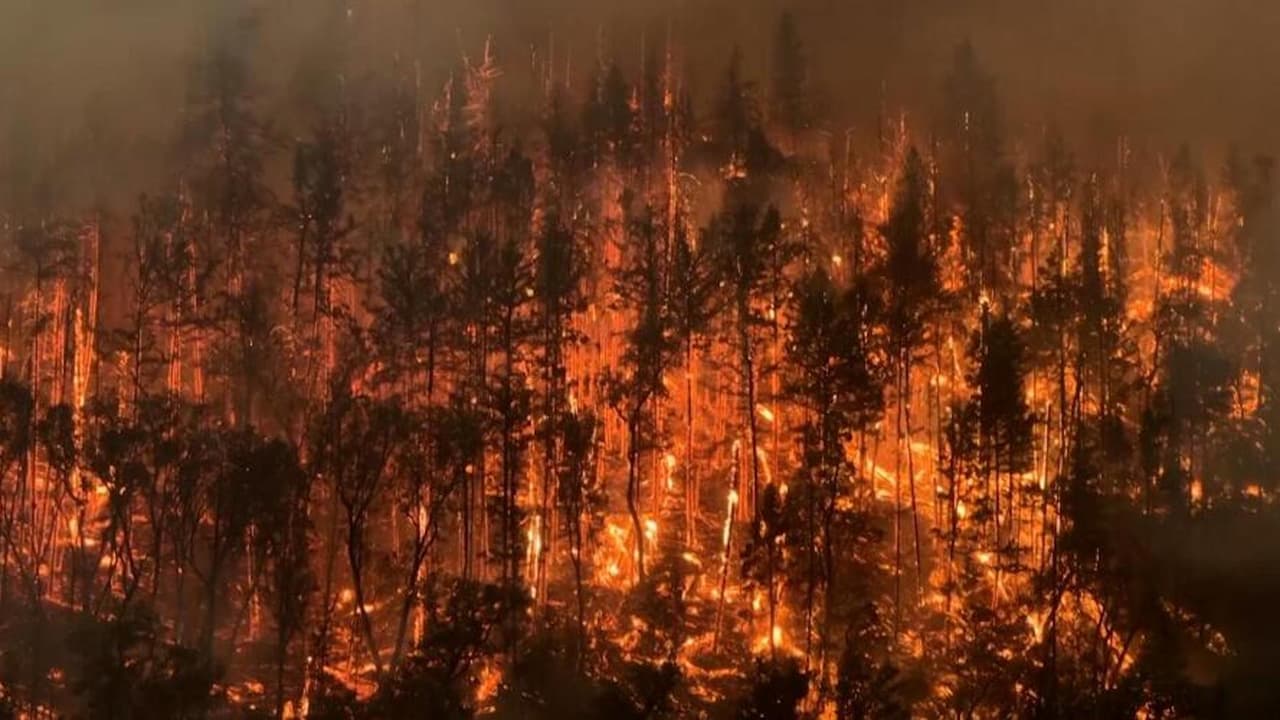 Este incendio se ha convertido en el más grande de California en lo que va de año.