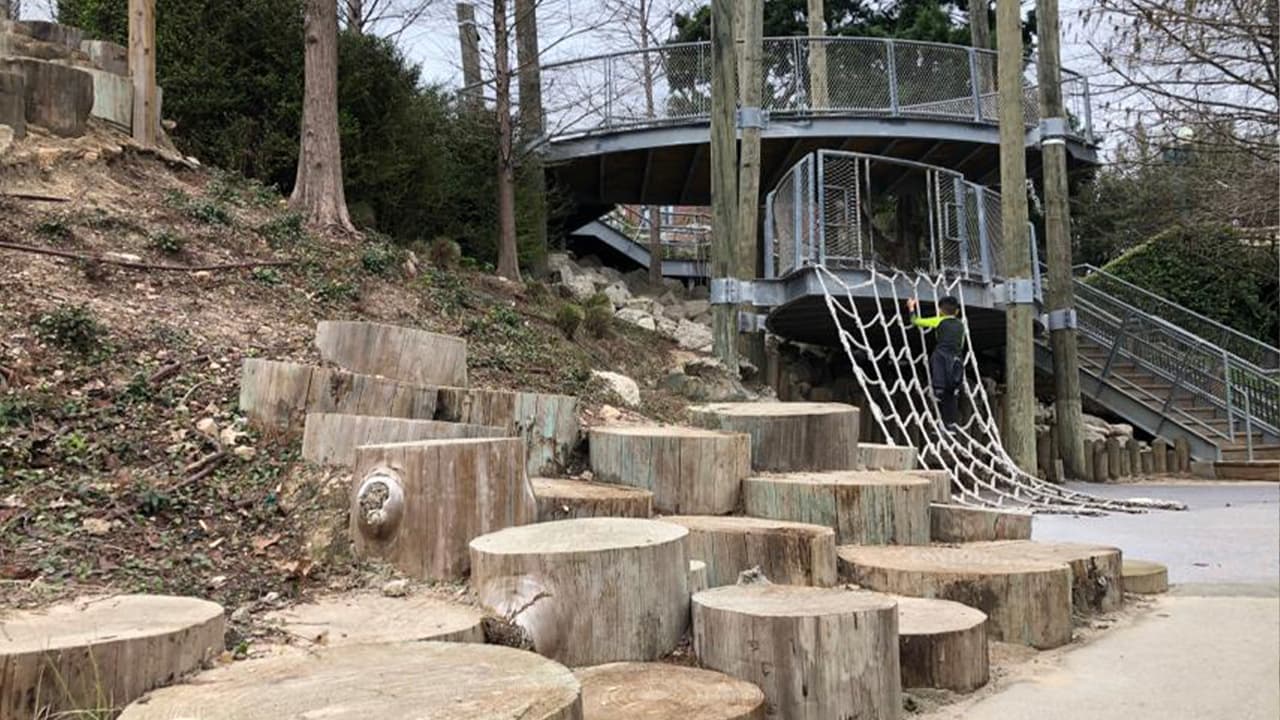 La casa de árbol es el lugar favorito de los niños. Tiene tres pisos.