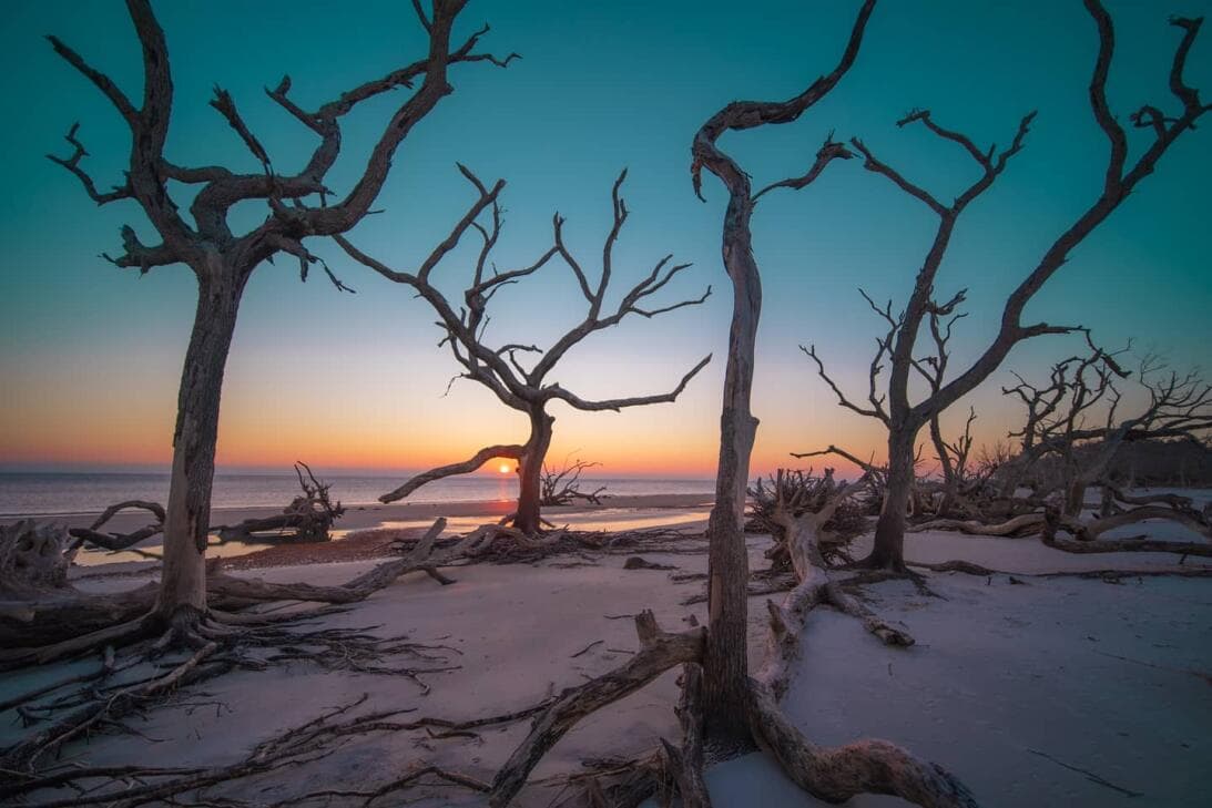 <b><a href="https://www.univision.com/local/atlanta-wuvg/mejores-playas-para-visitar-en-georgia-en-el-verano-2023-fotos">Relacionado: Estas son las mejores playas para visitar en Georgia en 2023</a></b>